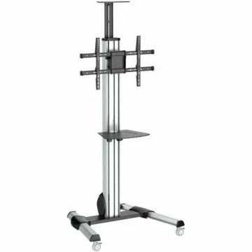 StarTech STNDMTV70 TV Cart - For 32" to 75" Displays - AV Cart - Height Adjustable - Lockable Wheels - Flat Screen TV Cart - Media Cart on Wheels - 1 Shelf - 40.10 kg Load Capacity - 4 Casters - Steel, Aluminium - 701 mm Length x 828 mm Width x  - Image 1