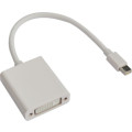 Astrotek AT-MINIDPDVI-MF Mini DisplayPort DP to DVI Cable 20cm - 20 pins Male to 24+5 pins Female Nickle RoHS