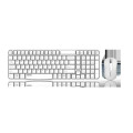 Rapoo X1800S-WHITE X1800S 2.4GHz Wireless Optical Keyboard Mouse Combo Black - 1000DPI Nano