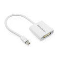 UGREEN 6957303814022 10402 mini dp male to DVI female converter cable