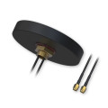 Teltonika PR1KCL25 Combo MIMO Flush Mount Mobile Antenna for Vehicle/Cabinet