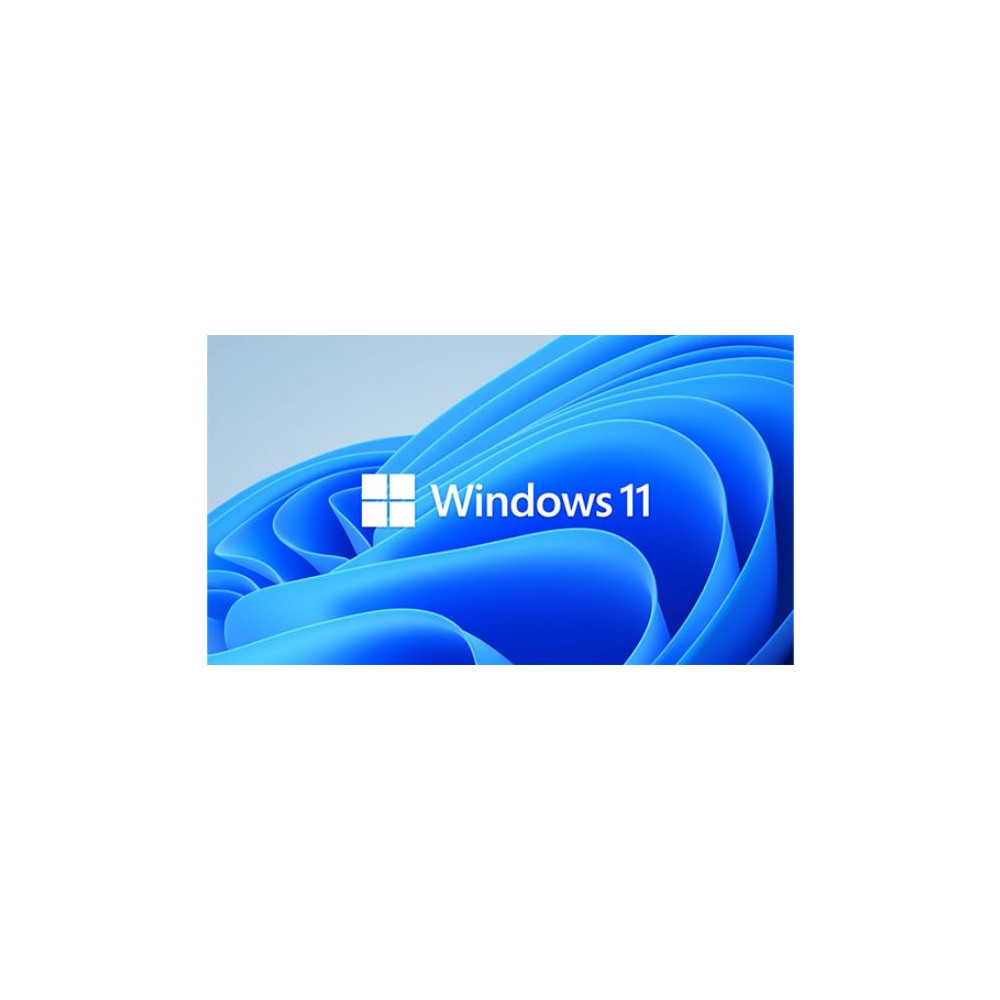 Microsoft HZV-00101 Windows 11 Professional for Workstation 64 BIT - By Order - Image 1