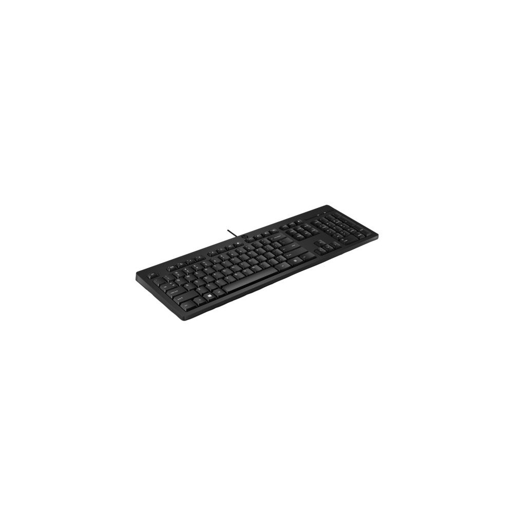 HP 266C9AA 125 Wired Keyboard - Compatible with Windows 10, Desktop PC, Laptop, Notebook USB Plug and Play Connectivity, Easy Cleaning 1YR WTY - Image 1