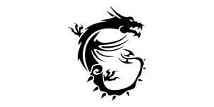 MSI